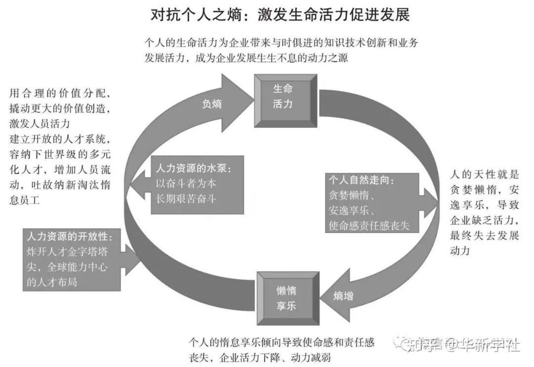 华为任正非谈“熵”,宏观层面,熵减是痛苦的,前途是光明的! - 知乎