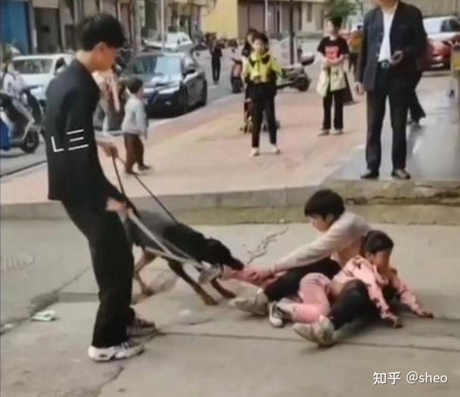 小女孩腿部骨头被咬穿.在日常生活中遇见狗咬人的事.该如何处理?