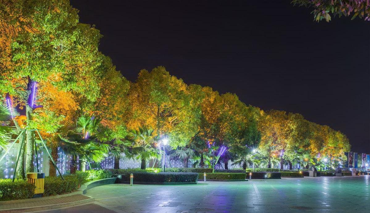 而是一种有选择性的装饰性夜景照明设计,主要是利用植物的独有特色