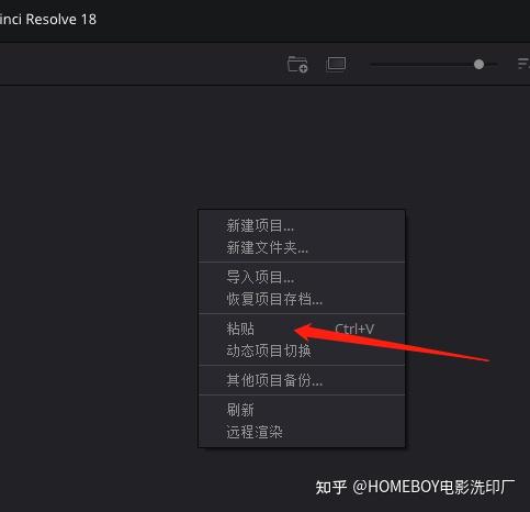 如何优雅的在达芬奇中复制粘贴 - 知乎