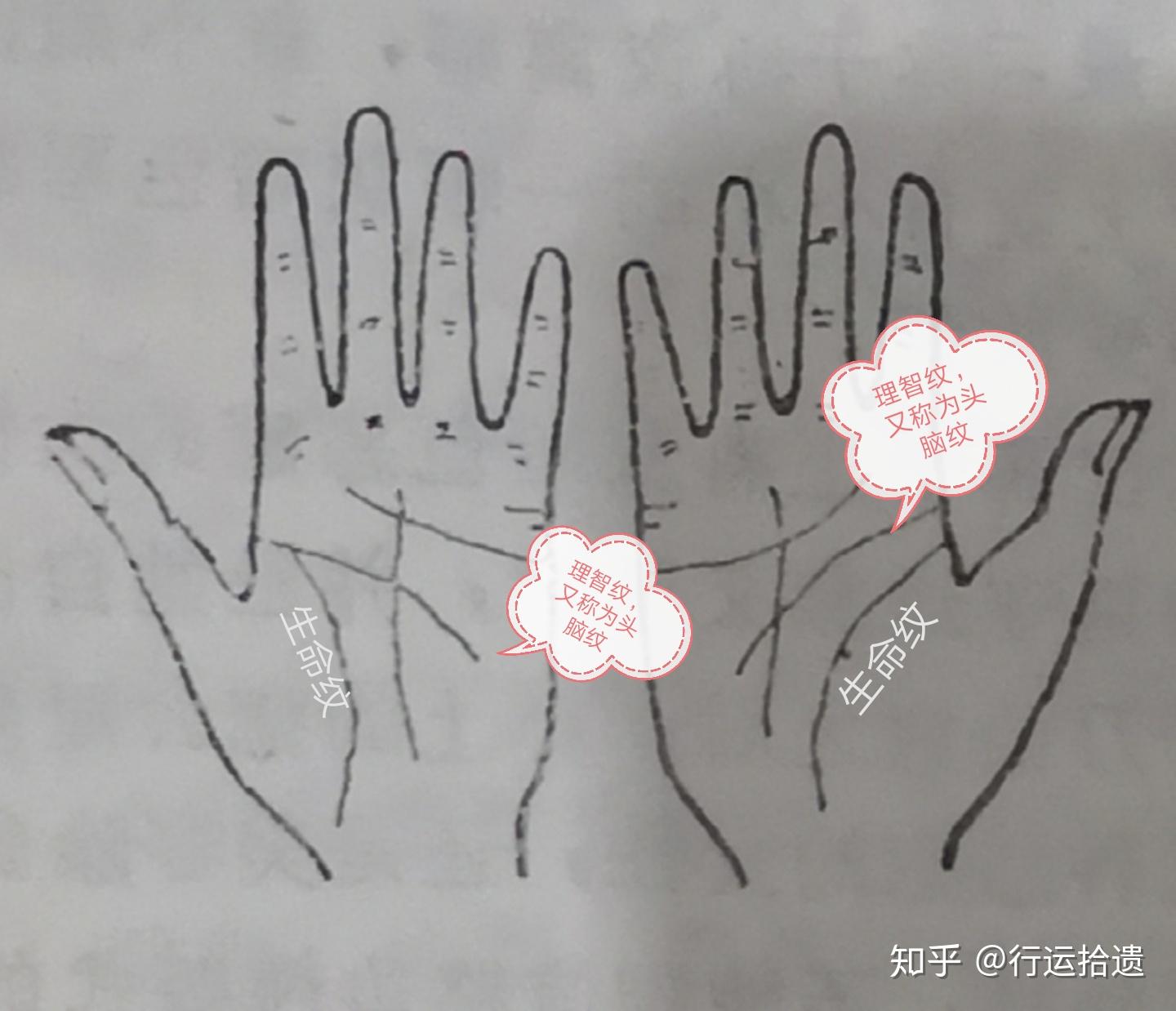 女相掌纹篇之理智纹
