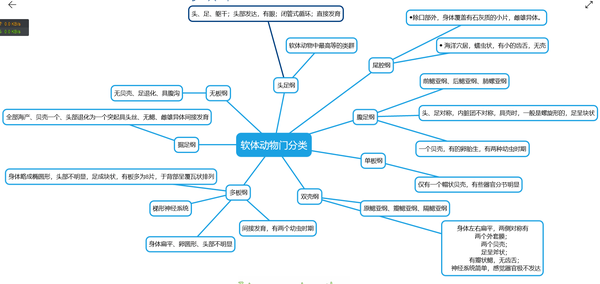 动物学期末总结 各大门类总结 知乎