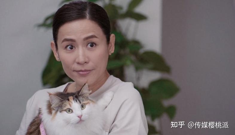 宣萱陈豪晚节不保豆瓣53陀枪师姐复出遭降智打击