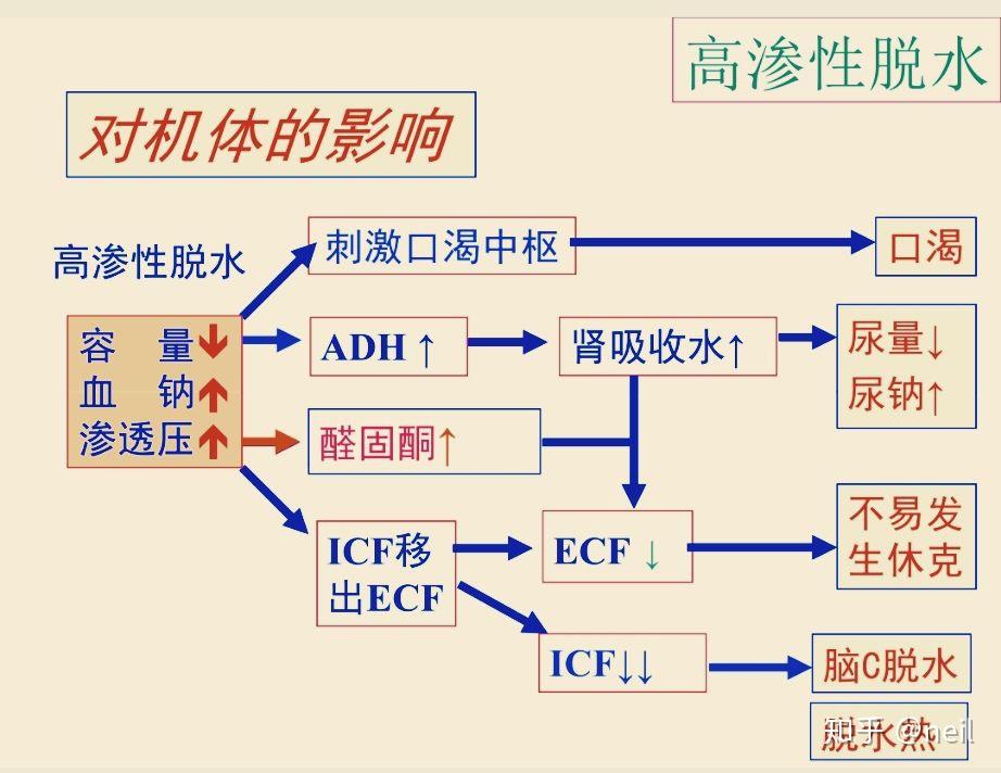 水钠代谢紊乱ppt图片