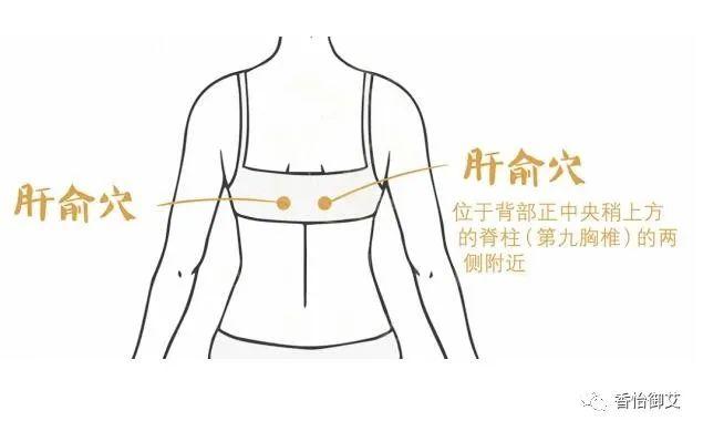 肾俞穴:肾属水,肾水滋养肝木,如果肾有问题,那么也影响肝!
