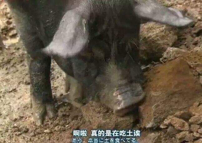 电子商务下会计发展趋势如何,又有何影响?