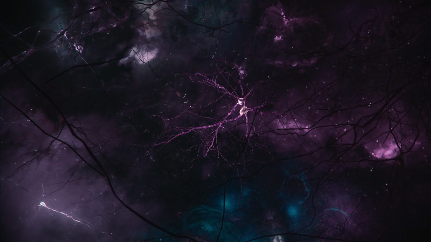 基因的主宰：大脑中的信息与神经现实，以及自由意志