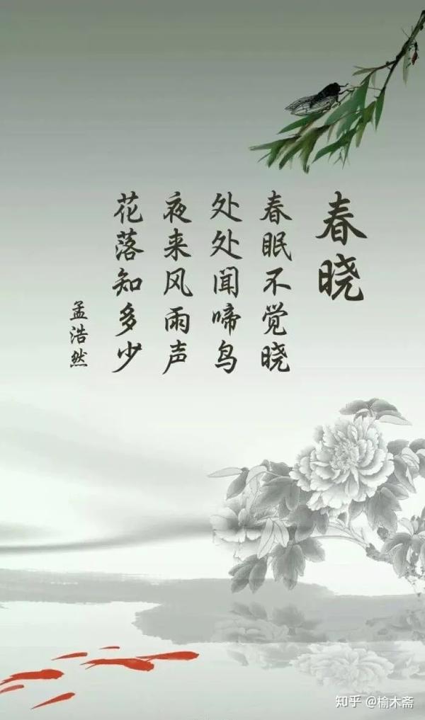 中国诗词文化的发展和误区之陋见