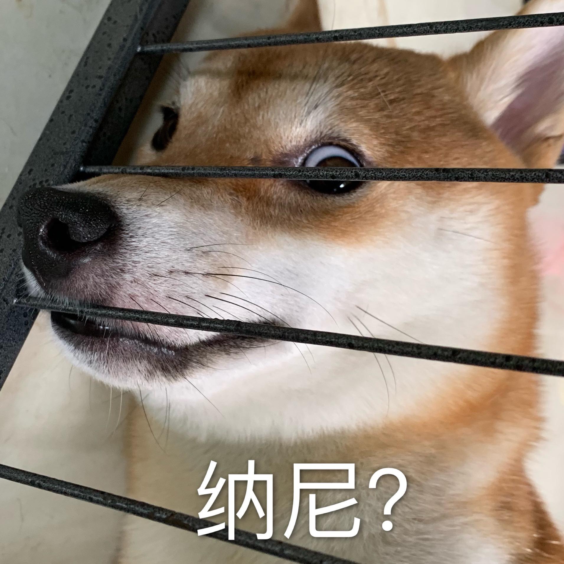 v2-f32e1d2dfff38d72a2c9eeec71815fca_r.jpg