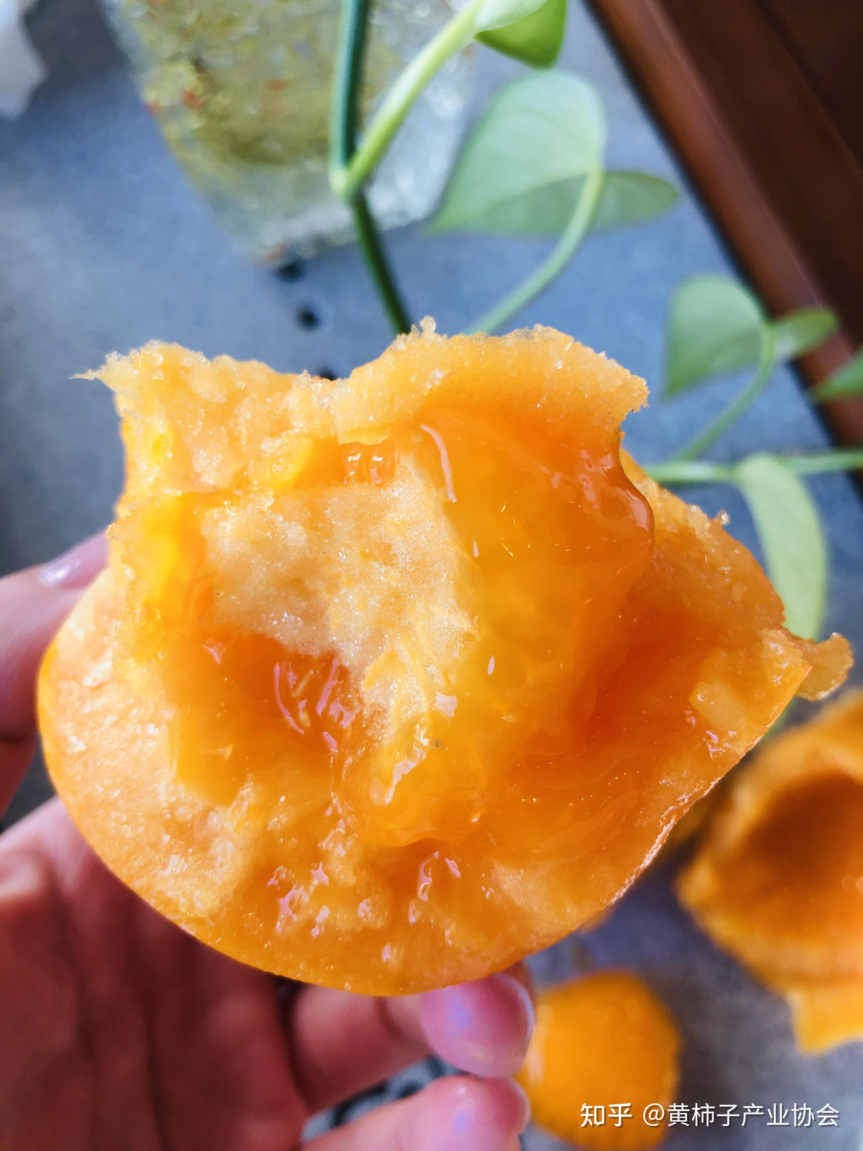 五原黄柿子夏天的味道
