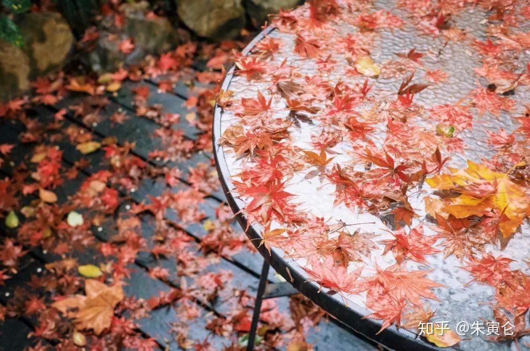 钻石刷会员支付宝怎么刷_支付宝刷砖石会员_刷支付宝钻石会员