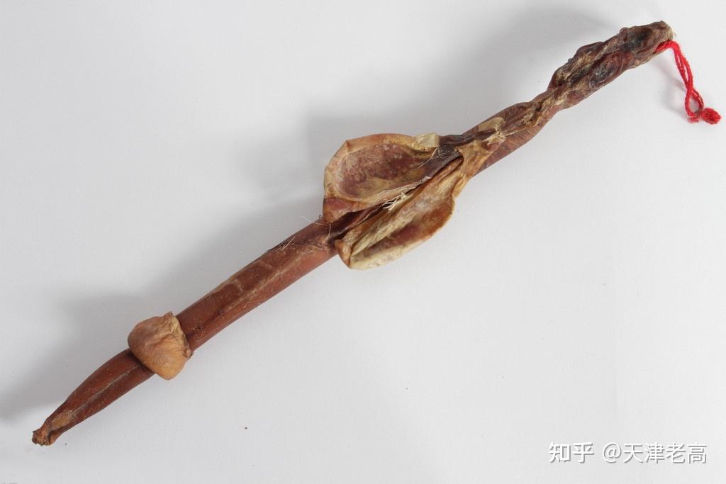 壮阳中药图片欣赏