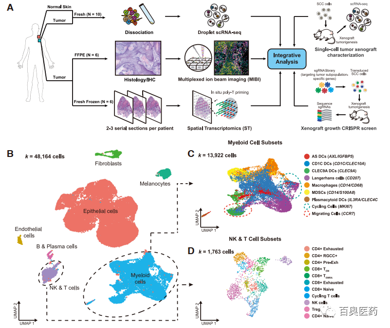 科研盘点|空间转录组和单细胞转录组整合研究应用汇总 - 知乎