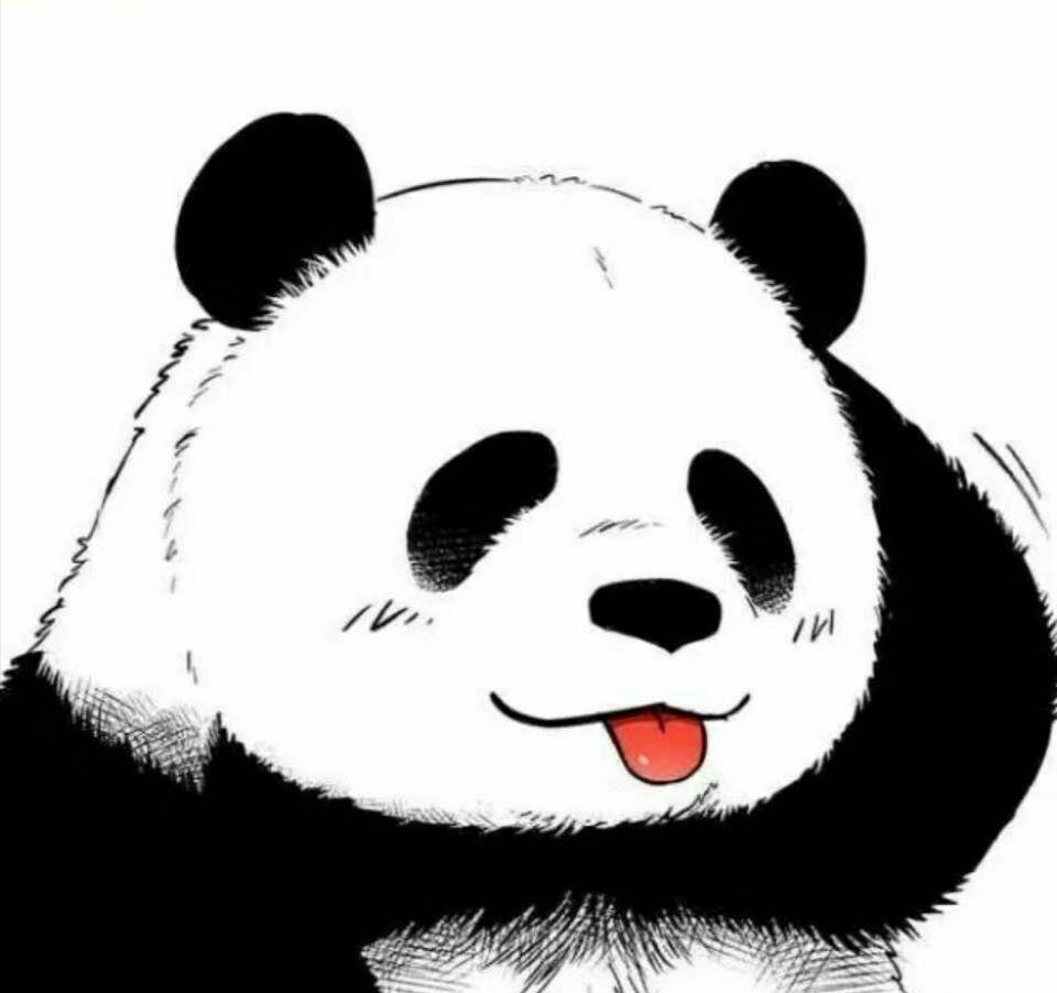 开朗网友专用头像熊猫图片