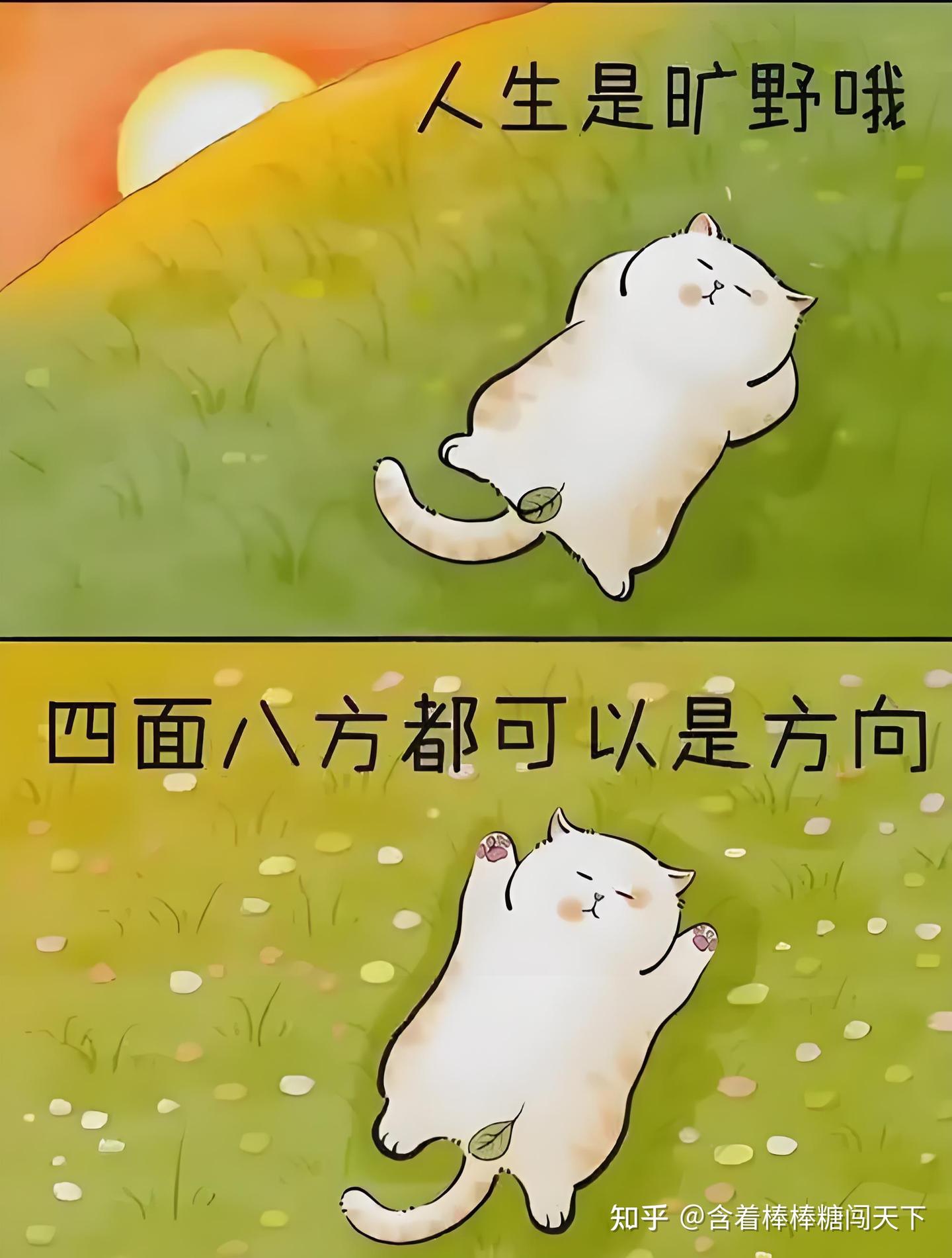 你完全有能力在半年内成为某个领域的专家 - 知乎