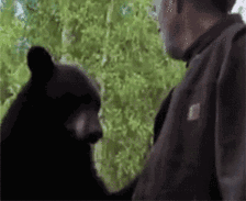 v2-f385dba064d958fab69cd0e9992bba30_1440w.gif