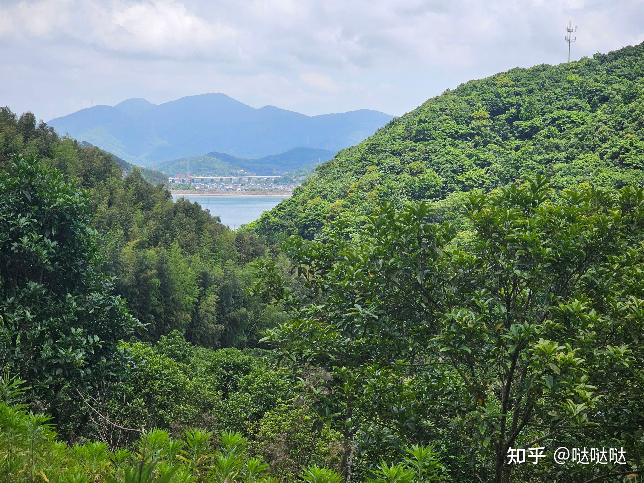 宁波北仑80度斜坡徒步爬山路线特别难八大坑别墅区伏虎将军庙九峰山