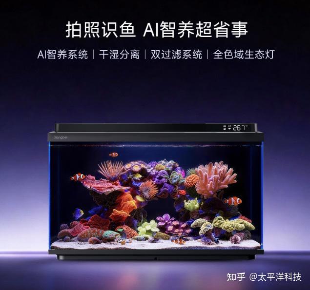 32L桌面海缸,从零开缸只需7天:当贝2S Ultra让新手也能玩转珊瑚缸 - 知乎