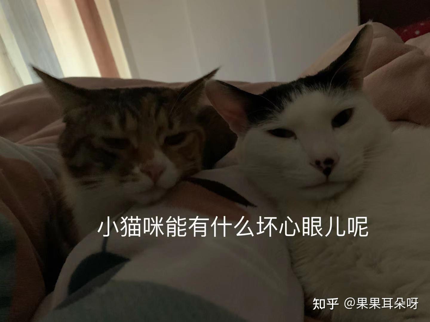 v2-f3a3562988fbf5d9497e8194232032ce_r.jpg