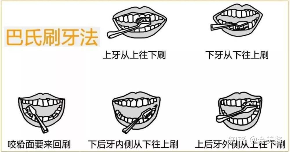 2022热门电动牙刷各项数据大pk横向测评附多品牌电动牙刷测试感受舒客