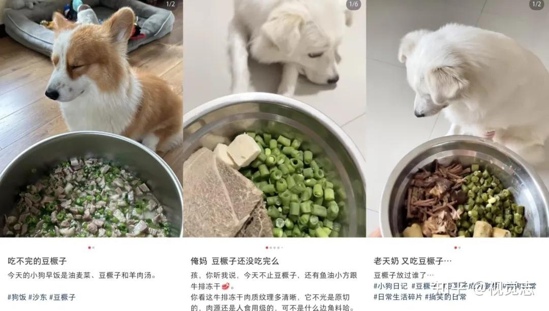 全国第一豆橛子大省:吃到崩溃,无路可退 - 知乎