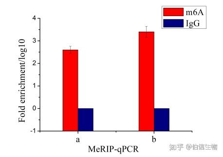 Merip Input MeRIP技术详解 - 知乎