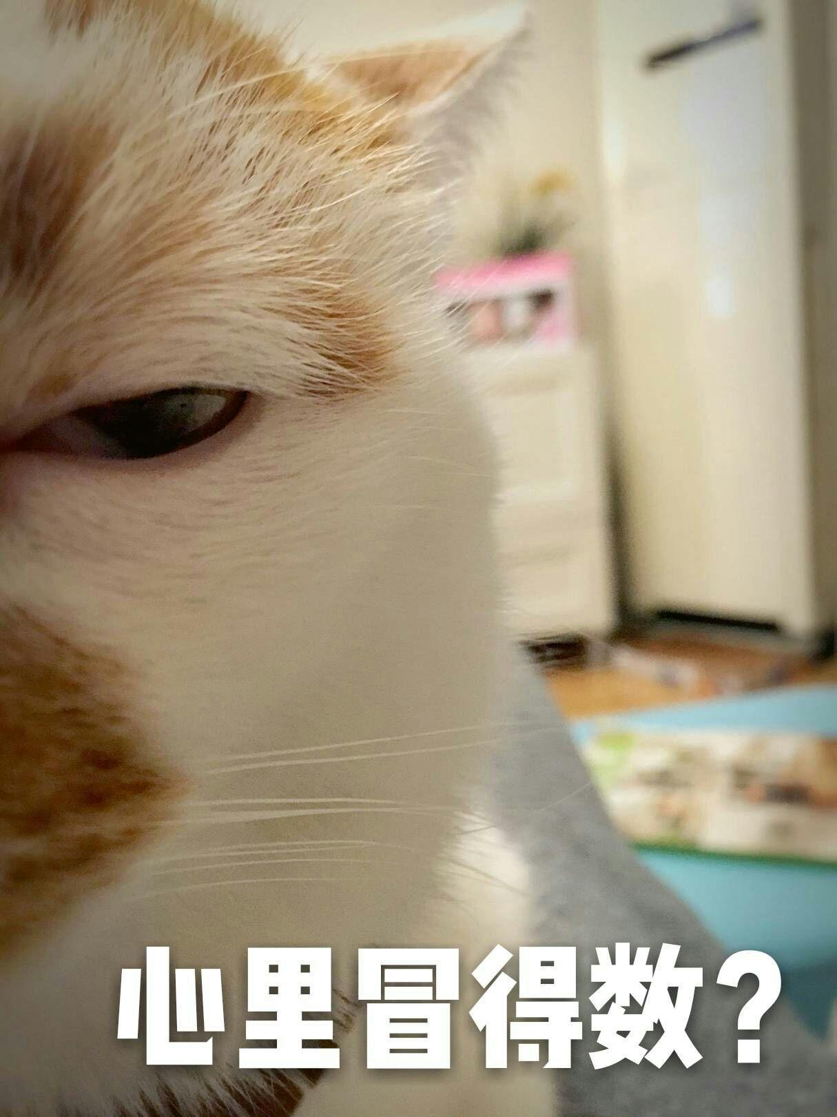 男 朋 友 說 對 一 個 人 最 基 本 的 尊 重 是 出 門 化 妝.我 不 理 解.大 家 怎 麼 看. 