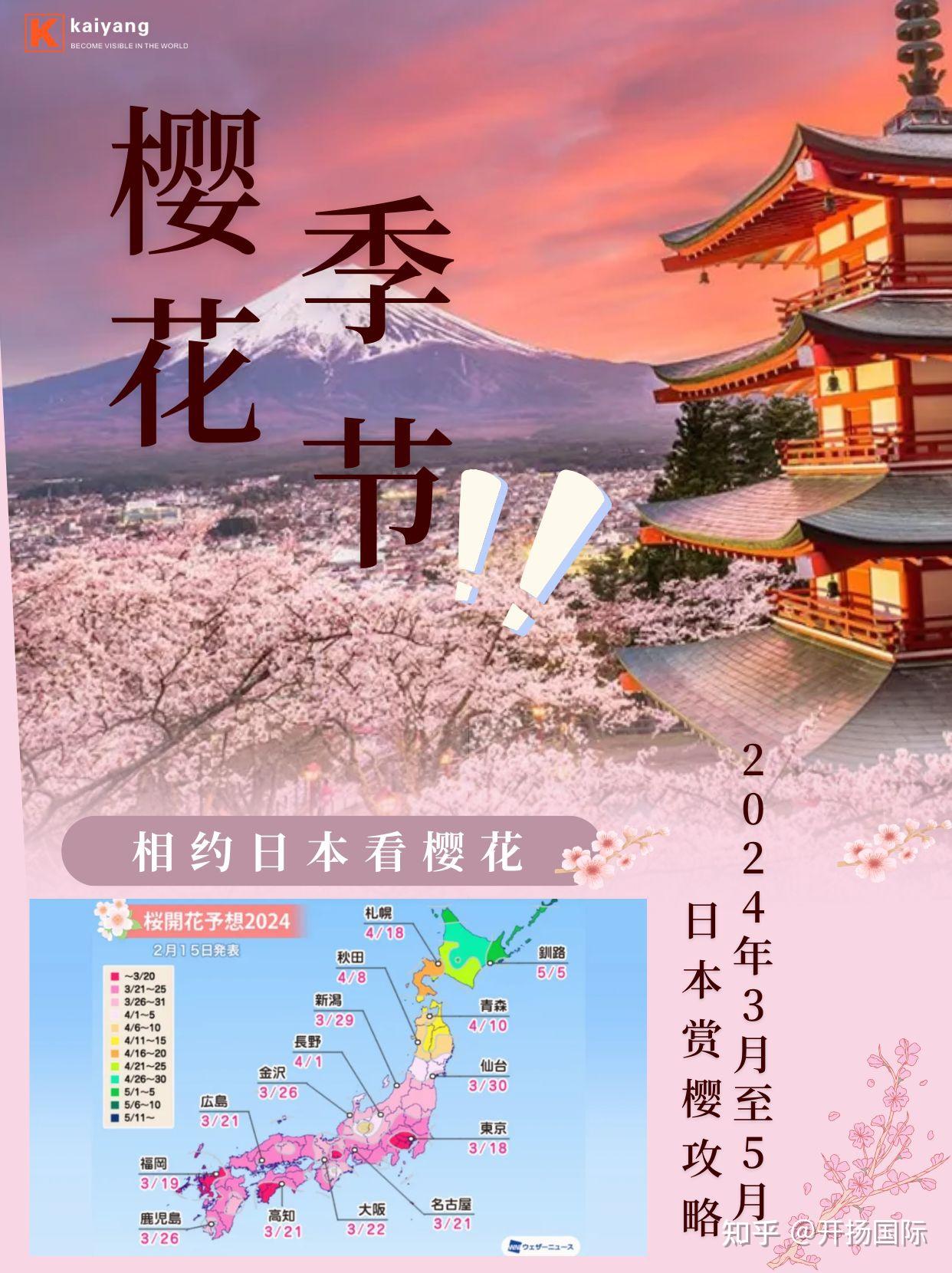 樱花是日本最著名的花卉,也是春天的使者 