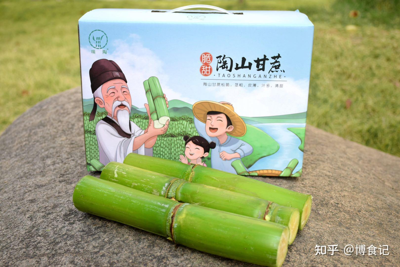 【第44篇】陶山甘蔗,补血王,嚼出大白牙