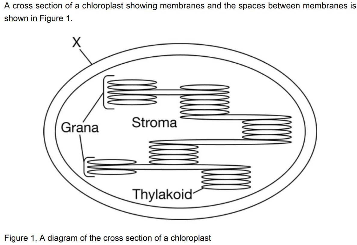 比腾讯官方更新更快的官方复习课指南带你深入ap国际考复习课