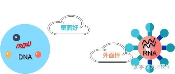 知乎专栏