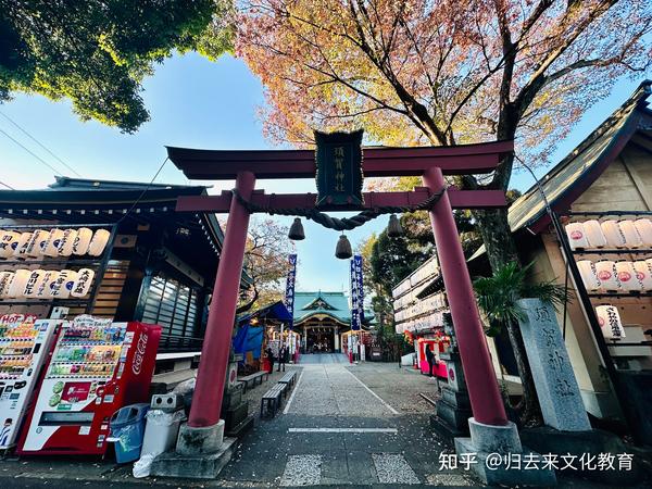 【日本文化】酉之市 知乎