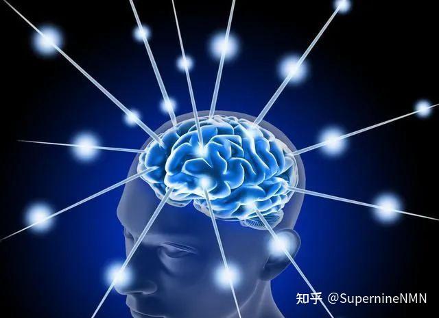 国乒球员的反应速度到底有多惊人？ - 知乎