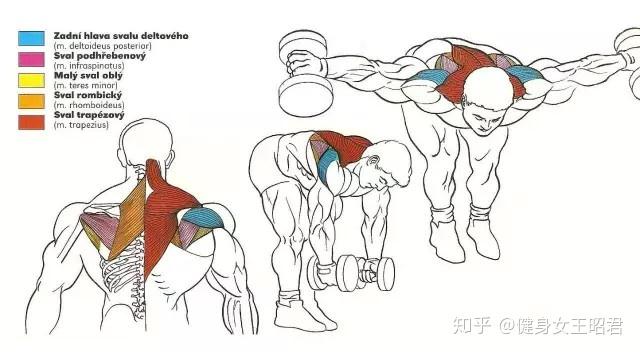 三頭肌窄距槓鈴臥推▼單臂頸後臂屈伸▼鋼線下壓▼單臂下壓▼附身臂屈