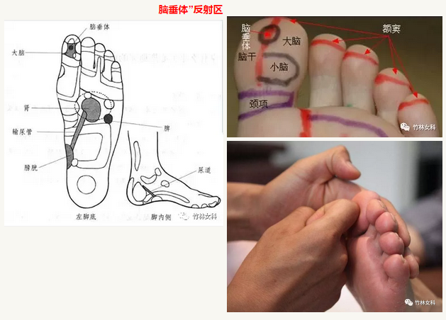 此法為楊奕老師在北京衛視《養生堂》所倡導的長高綠色療法