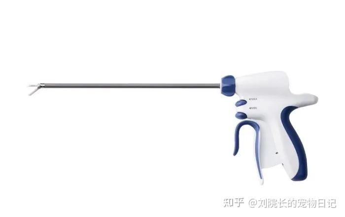 秋天第一刀——宠物绝育手术方案之超声刀应用! - 知乎
