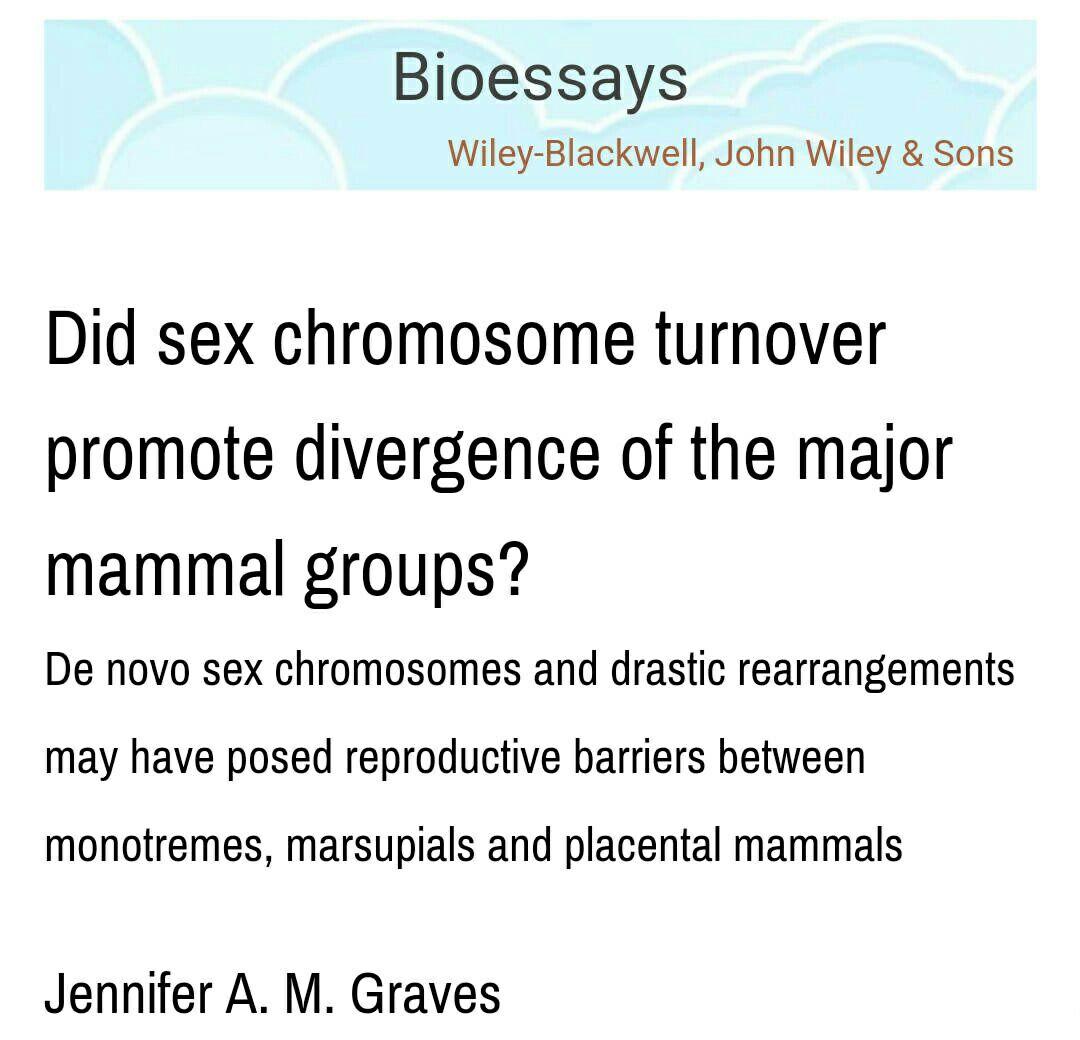 发达国家生育率低那么随着发展是不是未来人类