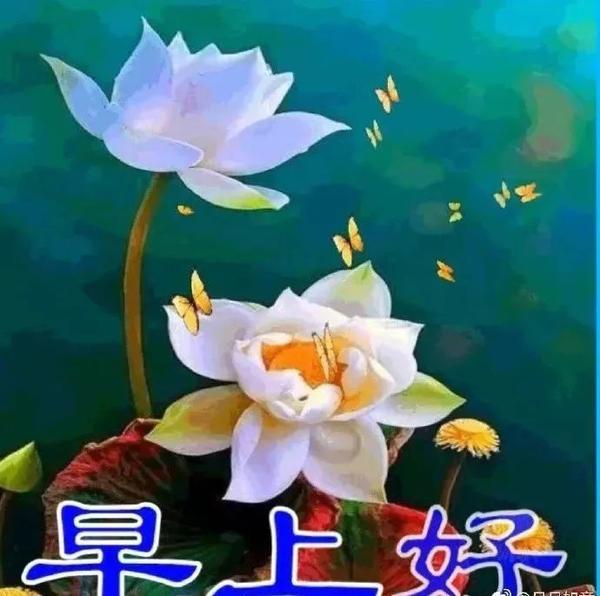 7月日什么日子 7月日古尔邦节 7月日是什么情人节