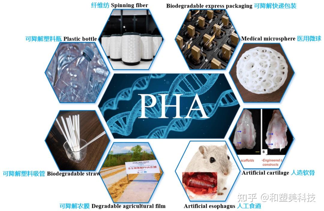 生物降解塑料PHA的特性与应用方向一览 - 知乎