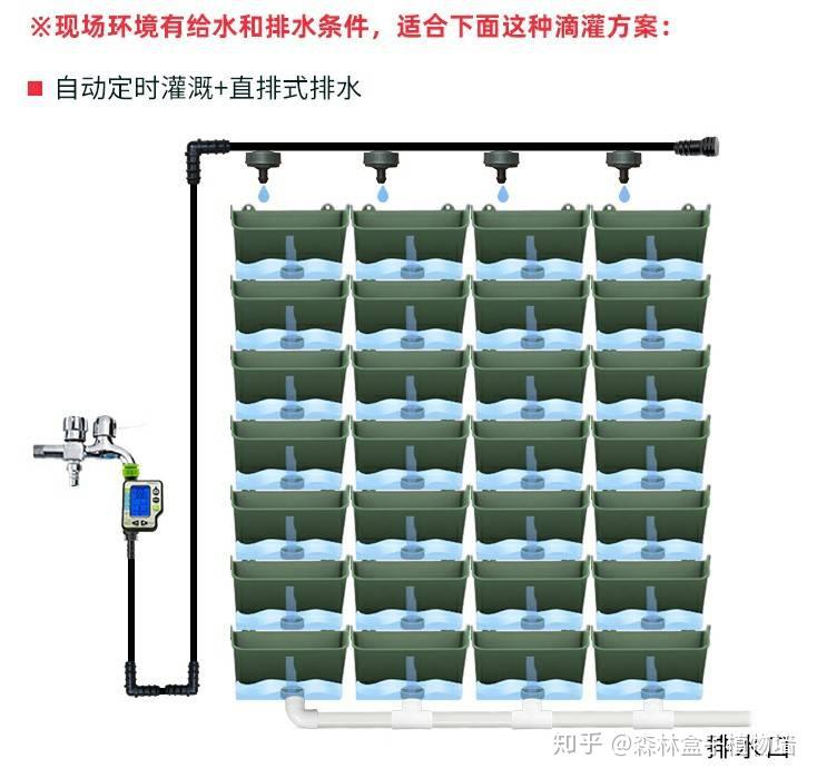 浅埋滴灌技术安装图图片