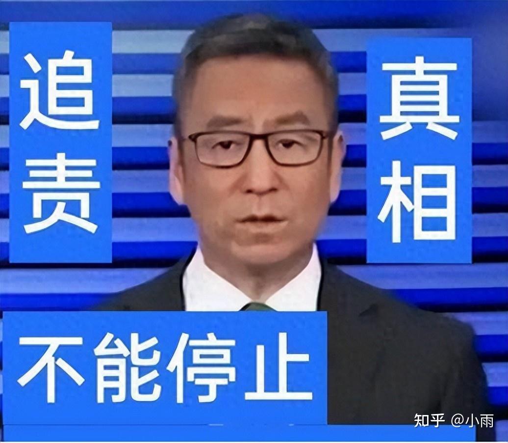 被造谣贬低全红婵、移居国外、儿子入籍,白岩松到底动了谁的蛋糕 - 知乎