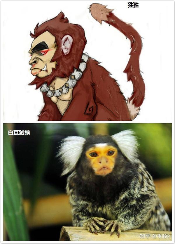 《山海经》南山系列中益兽有哪几个