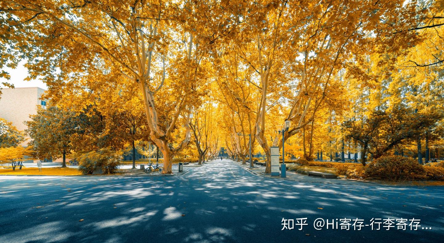停车枫林晚 坐看十月花|画廊|中国国家地理网