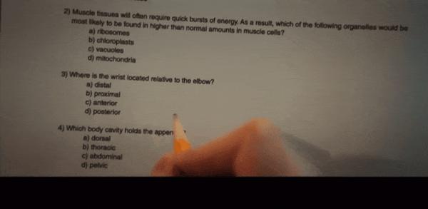 《美国血汗工厂》爆炸级心理悬疑！互联网背后的恐怖真相