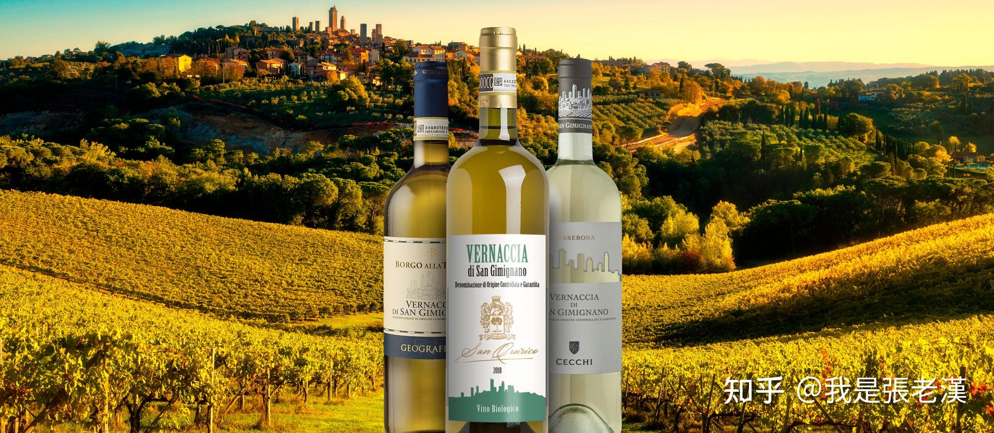 老汉食话《意大利葡萄酒之托斯卡纳大区》 - 知乎