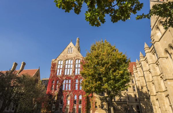 仲恺国际教育学院2024年国际本科招生简章