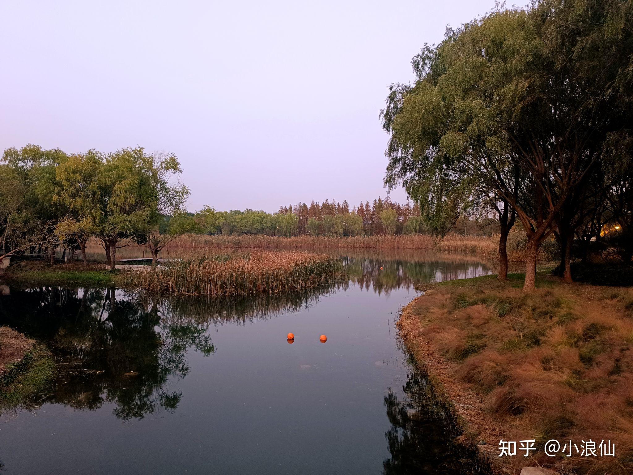 苏州虎丘湿地公园 - 知乎