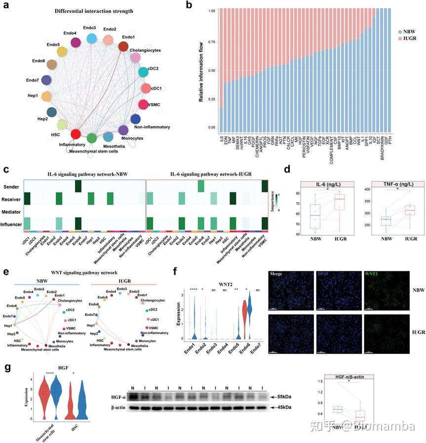 IF14.3| scRNA-seq+脂质组多组学分析揭示宫内生长受限导致肝损伤的性别差异 - 知乎