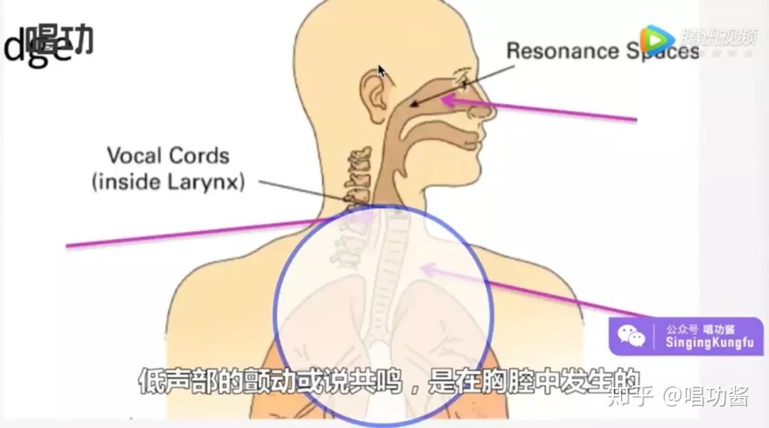 首先示范的是,散开的元音发音方式,此时,口型散开扩宽,将为唱歌带来
