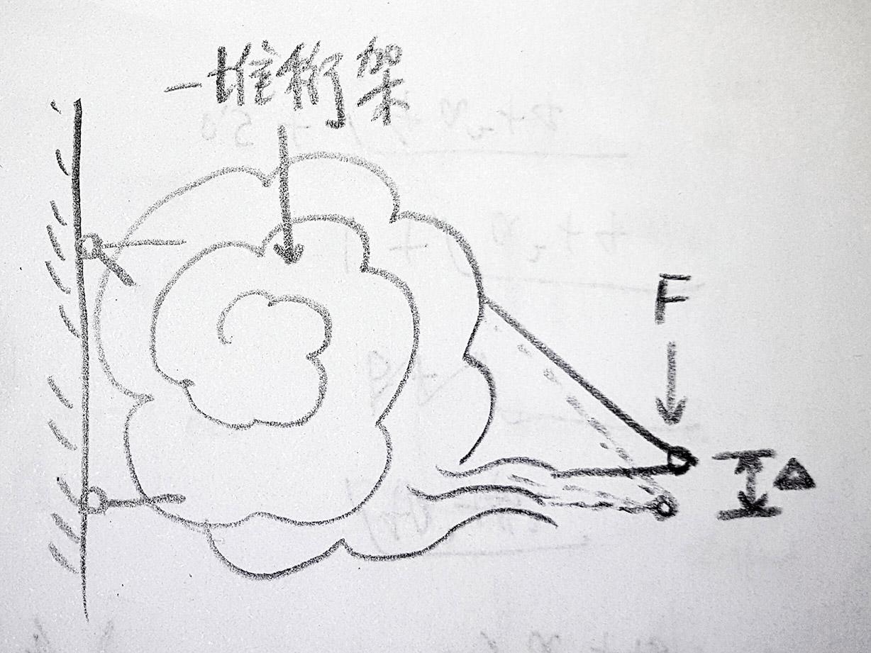 沿主应力迹线布置的桁架可能所需材料最少 - 知乎